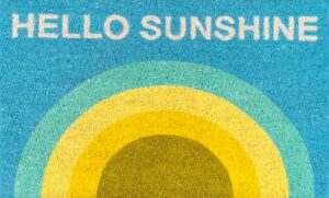 Area rug | Custom Carpet Centers