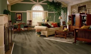 Living room | Custom Carpet Centers