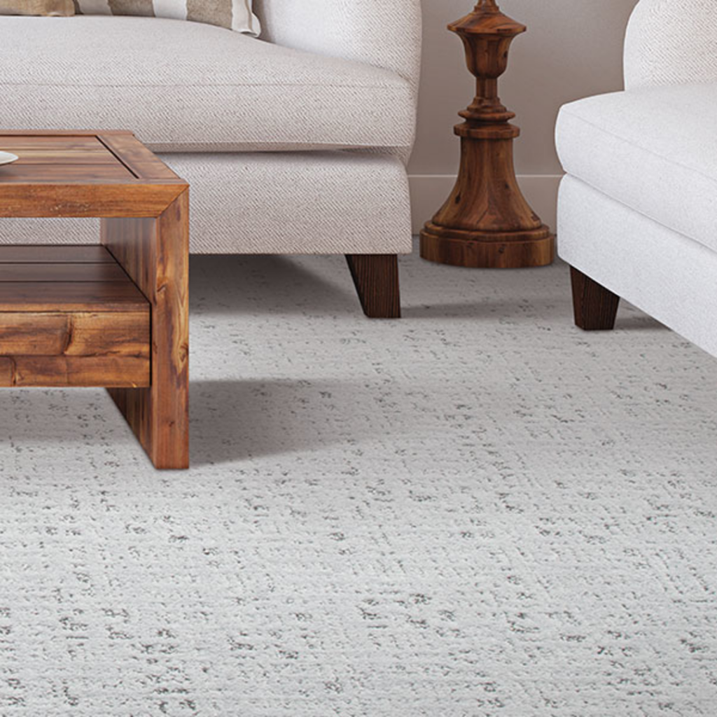 Carpet Flooring in Living Room
