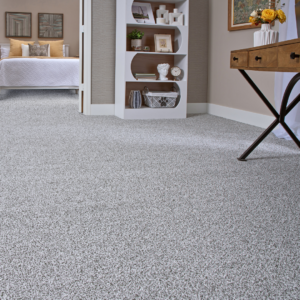 Soft gray carpet flooring in a bedroom and adjoining living space